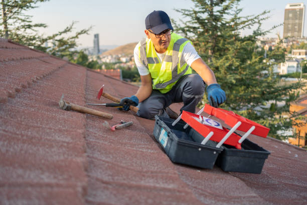 Best Storm Damage Siding Repair  in Sumner, IL